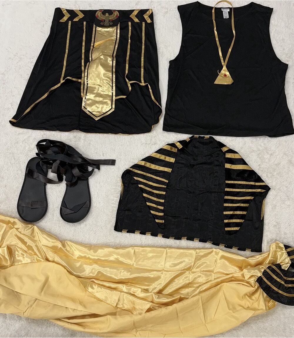 Dreamgirl King of Egypt Mens XL Pharaoh Costume 9893 5 Piece Black Gold Cape